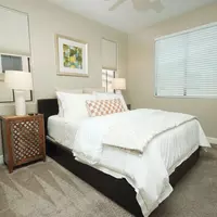 Coliving in Arcadia - NE Valley, Phoenix