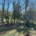 Coliving in Trinity Park - Durham, Raleigh