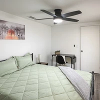 Co-living en University Square - North Tampa, Tampa