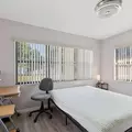 Coliving in Downtown St. Petersburg - Clearwater-St. Petersburg, Tampa