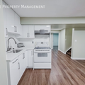 1 bedroom apartment for rent in Saddle Ridge - NE Calgary, Calgary