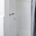 Coliving in Forest Hills Tampa - North Tampa, Tampa