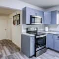 Coliving in Forest Hills Tampa - North Tampa, Tampa