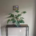 Coliving in Clayton County GA - South Atl, Atlanta
