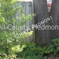 2 bedrooms apartment for rent in Midwood - Central Charlotte, Charlotte