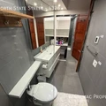 Studio Apartment for rent in River North - Central, Chicago