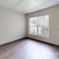 2 bedrooms apartment for rent in Lowry Park North - North Tampa, Tampa