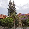 1 bedroom apartment for rent in Pico Union - Central Los Angeles, Los Angeles
