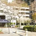 1 bedroom apartment for rent in DTLA - Central Los Angeles, Los Angeles