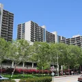 1 bedroom apartment for rent in DTLA - Central Los Angeles, Los Angeles