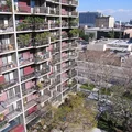 1 bedroom apartment for rent in DTLA - Central Los Angeles, Los Angeles