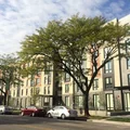 2 bedrooms apartment for rent in Woodlawn - South Side, Chicago