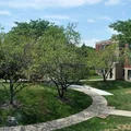 4 bedrooms apartment for rent in Little Italy/Uic - Central, Chicago