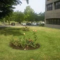 1 bedroom apartment for rent in Downtown Louisville - Central Louisville, Louisville