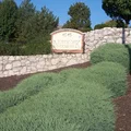 3 bedrooms apartment for rent in Gladstone - Outer KCMO, Kansas City
