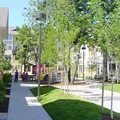 4 bedrooms apartment for rent in Mill Park - East Portland, Portland