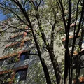 2 bedrooms apartment for rent in West End - Boston, Boston