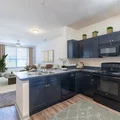 3 bedrooms apartment for rent in Downtown Dallas - Ne Dallas, Dallas