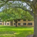 3 bedrooms apartment for rent in Crestview - North Central Austin, Austin