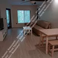 1 bedroom apartment for rent in University of Florida - Downtown Gainesville, Gainesville