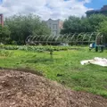 Coliving in Midtown Baltimore - Baltimore Metro Area, Washington DC