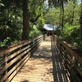 Coliving in Odessa - North Tampa, Tampa