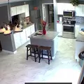 Coliving in White Settlement - Forth Worth, Dallas