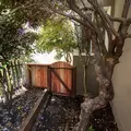 3 bedrooms apartment for rent in Albany - East Bay, San Francisco