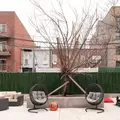 Coliving in Bushwick - Brooklyn, New York