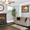 Coliving in West Baltimore - Baltimore Metro Area, Washington DC
