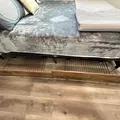 Coliving in College Park - South Atl, Atlanta