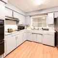 Coliving in Forest Hills Tampa - North Tampa, Tampa