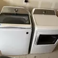 Coliving in Shannon Park - East Charlotte, Charlotte