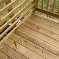Coliving in Southeast Raleigh - South Raleigh, Raleigh