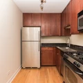 1 bedroom apartment for rent in Lincoln Park - North Side, Chicago