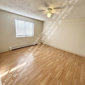 1 bedroom apartment for rent in Berkeley - West Denver, Denver