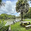1 bedroom apartment for rent in Sulphur Springs - North Tampa, Tampa