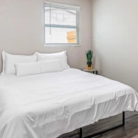 Coliving in East Lake-Orient Park - East Tampa, Tampa