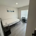 Coliving in University Square - North Tampa, Tampa