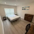 Coliving in University Square - North Tampa, Tampa