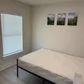 Coliving in University Square - North Tampa, Tampa