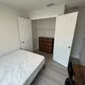 Coliving in University Square - North Tampa, Tampa