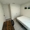 Coliving in University Square - North Tampa, Tampa