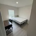 Coliving in University Square - North Tampa, Tampa