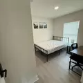 Coliving in University Square - North Tampa, Tampa