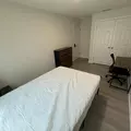 Coliving in University Square - North Tampa, Tampa