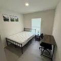 Coliving in University Square - North Tampa, Tampa