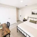 Coliving in University Square - North Tampa, Tampa