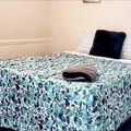 Coliving in Camelback East - Phoenix, Phoenix