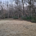 Coliving in Lexington - Outer Triad, Greensboro